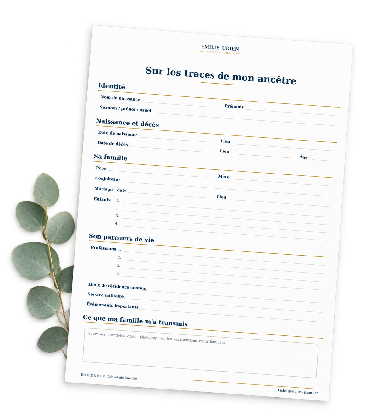 Aperçu de la fiche « Sur les traces de mon ancêtre », avec ses rubriques à compléter et une branche d’eucalyptus.